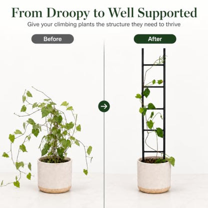 2PCS Indoor Plant Trellis, Sturdy Ladder Trellis for House Plant