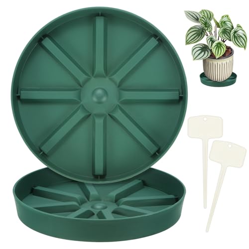 M METERXITY 2-Pack Plant Saucer, 8.27 Inch/21 cm Plastic Plant Trays Thicker for Pots/Indoor/Outdoor/Water Drainage and Protection, Flowerpot Drip Tray [Green] - size: 8.27 in