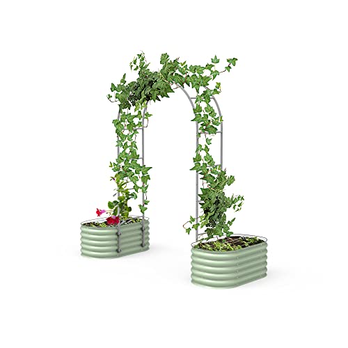 Vego Garden Modular Arched 2.0' Long Trellis System for 2.0‘ x 4.0' or 4.0' x 8.0' or 2.5' x 9.5' Garden Bed for Climbing Plants Like Cucumber Beans Tomatoes & Vines (Garden Beds Not Included) - size: 2.0 Ft Long