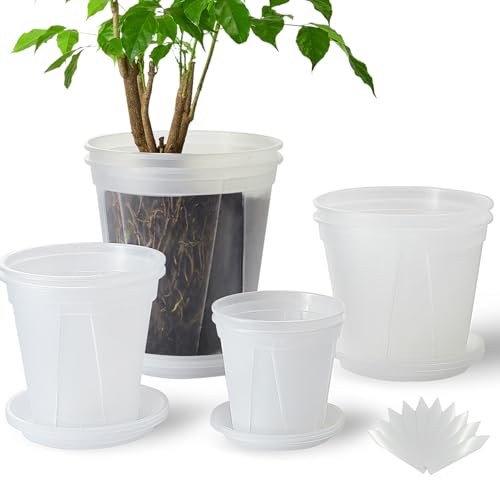 Clear Plant Nursery pots with Saucers,5/6/7/8 inch 8 Pack - size: 5/6/7/8 inch with trays