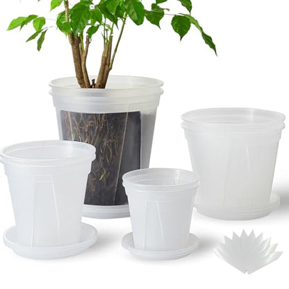 Clear Plant Nursery pots with Saucers,5/6/7/8 inch 8 Pack - size: 5/6/7/8 inch with trays