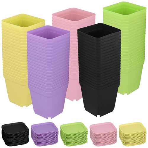 HOIGON 100 Pack 3 Inch Square Nursery Pot, 5 Colors Durable Thickened Plastic Nursery Pots with Drain Holes and Saucers, Small Square Planting Containers for Flower Tomatoes Basil - color: Black, Purple, Green, Pink,yellow
