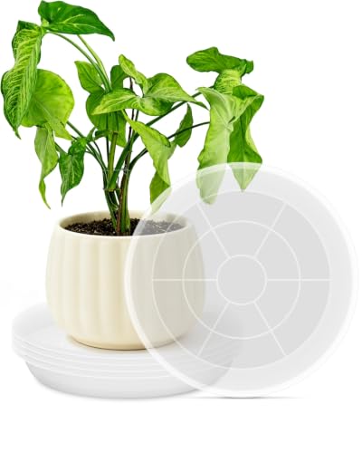 PACETAP 16 inch Plant Saucer Pot Tray 5 Pack, Large Thickened PP Plastic Flower Planter Water Drip Trays for Indoor Outdoor Garden, Semi-Transparent Planter Water Catcher for Pot, Plant Dish - size: 16 Inch
