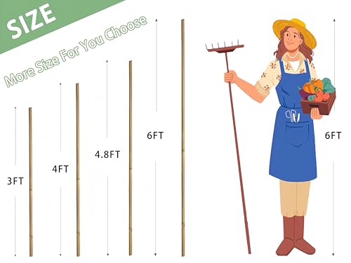 Bamboo Stakes,6Feet,50Pcs,Plant Bamboo Post,GUANGYE,Bamboo Garden Stakes - size: 6Ft,50Pack