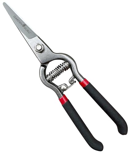 Garden Guru Classic Bypass Pruning Shears Clippers – Heavy Duty Forged Steel Garden Pruners – Safety Lock – Non Slip Comfort Grips – Cuts up to 1” Diameter – Professional Bypass Pruners for Gardening - size: 1 Pack, style: Precision Blade