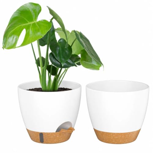 ZMTECH 8 Inch Plant Pots Set of 2 Planters for Indoor Plants Self Watering Pots Flower Pots with Drainage Holes and Saucer for Outdoor Plants(White with Brown) - color: White With Brown, size: 8 Inch