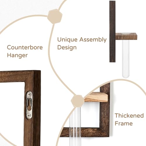 Wall Propagation Station Set with Glass Tubes