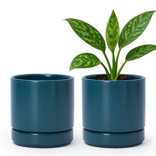 D'vine Dev 2-Pack Ceramic Pots with Saucers, Teal, 4.7 in, 94-V-B-9 - color: Teal, size: 4.7 Inch