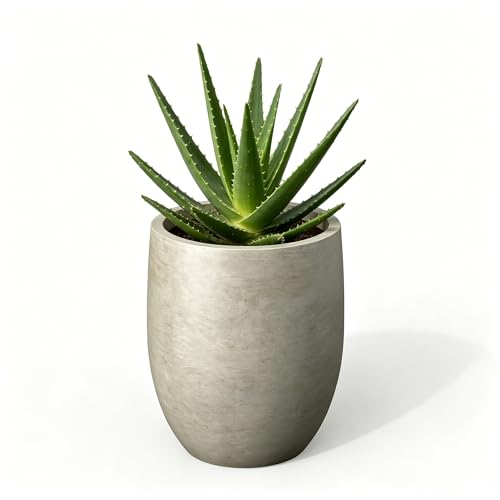 Kante Small Round Curved Weathered Concrete Planter 9.1" Dia, Outdoor - color: Weathered Concrete, size: 11.8 Inch Tall