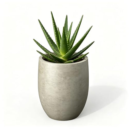 Kante Small Round Curved Weathered Concrete Planter 9.1" Dia, Outdoor - color: Weathered Concrete, size: 11.8 Inch Tall