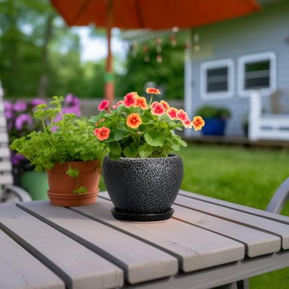 Ceramic Planter 6 Inch, Ceramic Plant Pots Indoor, Black - color: Black, size: 6 Inch