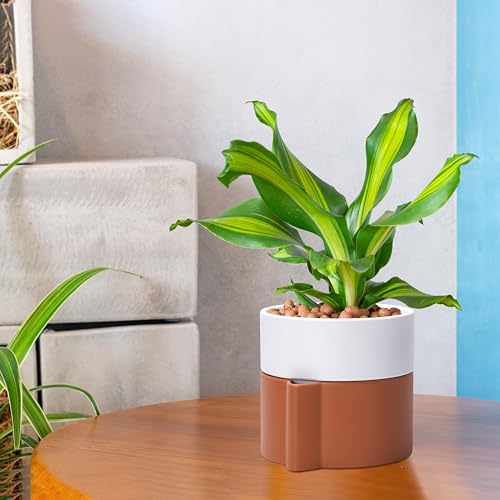 6.5 Inch Self-Watering Planter Pot with Terracotta Insert, Deep Water Reservoir, and Ceramic-Alike BPA-Free Plastic Pot for Plant, Modern Planter for Houseplants, Terracotta/White, 53-B-S-6 - color: Terracotta/White, size: 6.5 Inch