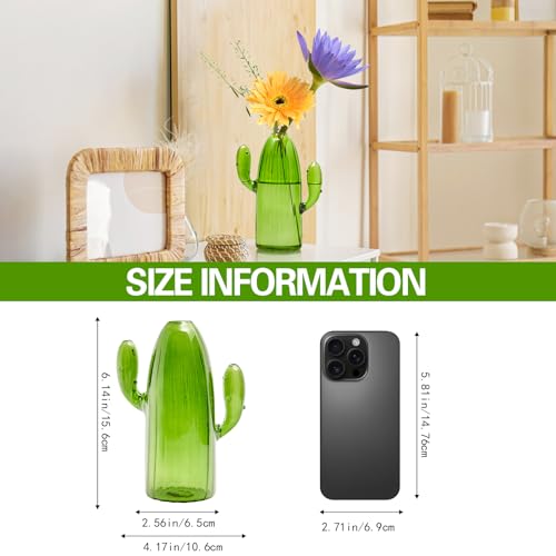 XXXFLOWER Cactus Plant Propagation Station 1 Cactus Vase Terrarium Jars - size: 1PC Cactus Vase