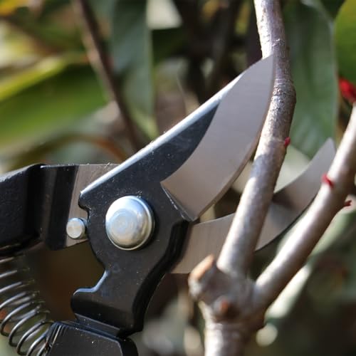 Senkichi Pruning Shears 180mm/7.1", Shock-Absorbing Grip - Japanese Pruner - size: 180mm (7.1")