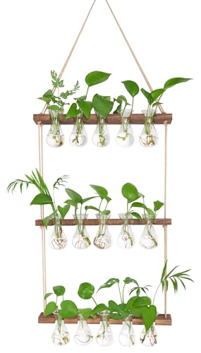 XXXFLOWER Wall Hanging Propagation Station 5 Bulb Vase 3 Tiers Brown - color: Clear