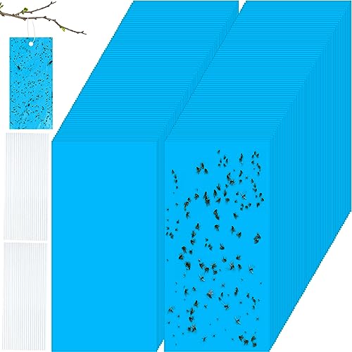 Qualirey 100 Pcs Blue Sticky Traps for Thrips 7.8 X 3.9 Inch - color: Blue, size: 7.8 x 3.9 Inch
