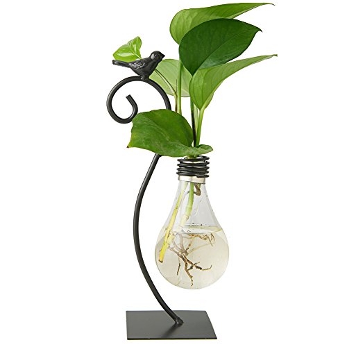 Marbrasse Desktop Glass Planter Hydroponics Vase,Planter Bulb Vase with Holder for Home Decoration,Modern Creative Bird Plant Terrarium Stand, Scindapsus Container (Bulb Vase) - color: Jk153