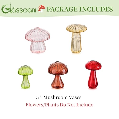 Glasseam Mushroom Plant Propagation Station: 5 Pcs Glass Mini Terrarium - color: Colorful, size: 5