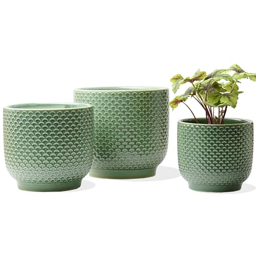 4 + 5 + 6 Inch Ceramic Pots for Indoor Plants, Succulents Plant Pots, Orchid Flower Pot with Drainage Hole, Modern Clay Stoneware Planters, Set of 3 (Green, 4+5+6 Inch) - color: Green