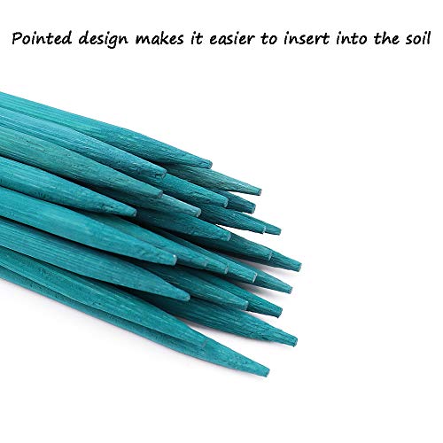 Plant Stakes 25Pcs,18IN Green Bamboo Sticks With25 Green Ties,Orchid Sticks - color: Green, size: 18 Inch 25Pack