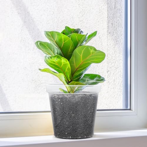 GREANER Clear Plastic Plant Pots, Orchid Pots with Holes and 20 Pcs Plant Labels, 5/6/7/8/9/10 Inch(Pack of 15) - color: 15pcs/Clear, size: 5/6/7/8/9/10inch