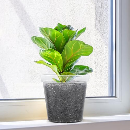 GREANER Clear Plastic Plant Pots, Orchid Pots with Holes and 20 Pcs Plant Labels, 5/6/7/8/9/10 Inch(Pack of 15) - color: 15pcs/Clear, size: 5/6/7/8/9/10inch