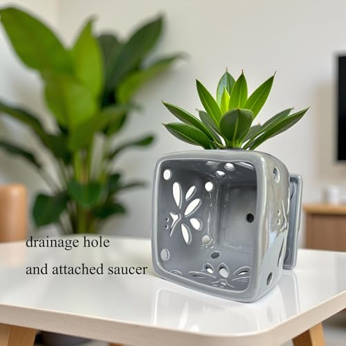 Orchid Pots with Holes Square Ceramic Orchid Planter Pots 5.5 inch (gray) - color: Gray