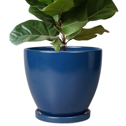 10 Inch Plant Pot - Ceramic Planter with Drainage Hole and Saucer, Modern Flower Pot, Round Planters for Indoor Plants, Home Patio Bathroom Porch Garden Living Room Decor, Blue - color: Matte Blue, size: 10 Inch