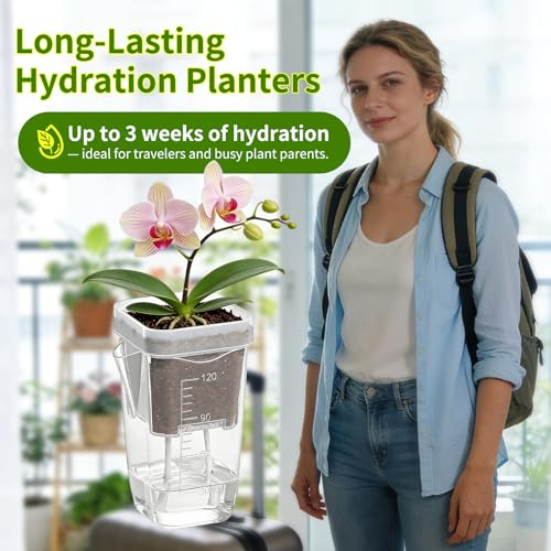 HITOSTAR 6 Pack 2 Inch Mini Clear Self Watering Pots for Indoor Plants, Small Plastic Planters with Drainage, Hydroponic Nursery Propagation Cups, for African Violet Alocasia Pot (2 Inch, 6 Pack) - size: 2 Inch