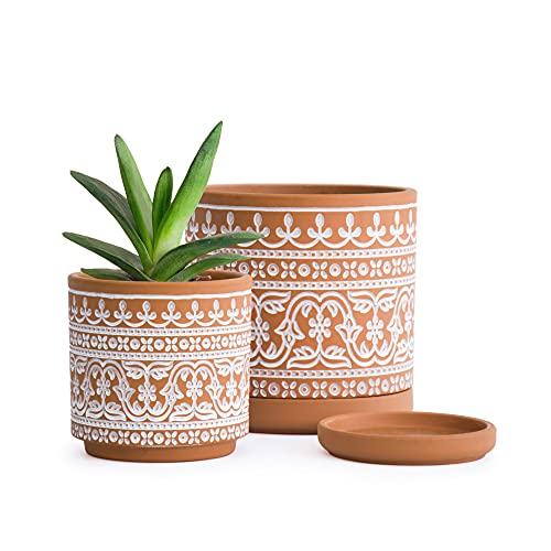D'vine Dev 2-Pack Terracotta Pots, 4/6 in, Terra/White, 31-958-F-1 - color: Terracotta/White