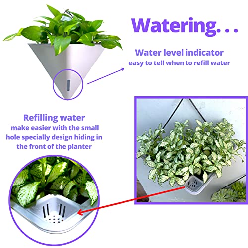 LaLaGreen Wall Planter (12in, 4 Pack) Large Indoor Self Watering Flower Pot - color: White X 2 Pack & Gray X 2 Pack