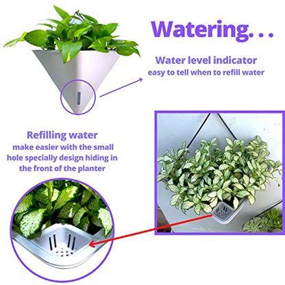 LaLaGreen Wall Planter (12in, 4 Pack) Large Indoor Self Watering Flower Pot - color: White X 2 Pack & Gray X 2 Pack
