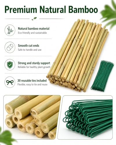 20 Pcs 16 inch Bamboo Garden Stakes with Ties Natural Bamboo Plant Stakes for Tomatoes (20pcs-16inch) - size: 20pcs-16inch