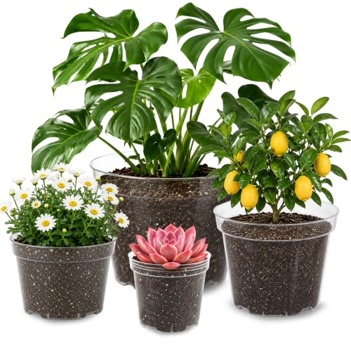 16 Pack 4/6/7.9/9.8 inch Clear Nursery Pots with Drainage Holes