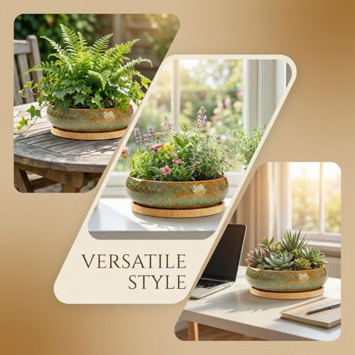 Succulent Pots with Drainage Hole Ceramic Bonsai Planter, Shallow Round Plant Pot with Saucer for Succulent Indoor Outdoor, Porch Decor, Gifts for Plant Lover 6 Inch Green - color: Green, size: 6 inch