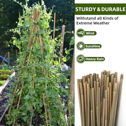 Bamboo Stakes,3Ft,65Pack,Bamboo Garden Stakes,for Tomato,Beans,Vegetable and Flowers, Potted Plants,Indoor and Outdoor Climbing Plants - size: 3Ft,65Pack