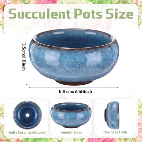 12 Pcs Small Succulent Pots with Drainage 2.5 Inch Mini Ceramic Ice Crack Glaze Plant Container for Cactus, Plant Lover Gifts for Women Mom Aunt Home Office Decor, 6 Colors