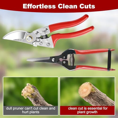 LEEPENK 2 Piece Garden Shears Set: Heavy Duty Pruning Shears with Japanese SK5 Steel Blade & Long Straight Garden Snip,Complete Pruning Shears for Gardening, Tree Trimming, Flower & Herb Cutting