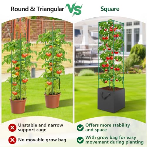 3 Pack Tomato Cage for Garden, Upgraded Fiberglass Garden Trellis with 3 PCS Grow Bags, Square Tomato Planter Support Garden Cages for Cucumber Vegetables Vertical Climbing Plants - color: 3 Tomato Cages + Bag