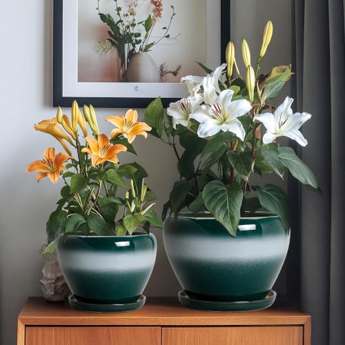 Ceramic 10+8+6 Inch Planter, Ceramic Flower Pots, Green-White - color: Green-white