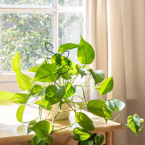 2Pcs Metal Leaf Shape Garden Trellis for Climbing Plant Indoor - color: C