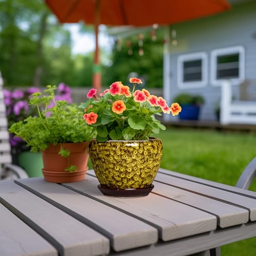 6 Inch Ceramic Plant Pot, Yellow Leopard - color: Yellow Leopard, size: 6 Inch