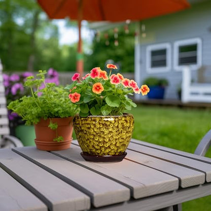 6 Inch Ceramic Plant Pot, Yellow Leopard - color: Yellow Leopard, size: 6 Inch