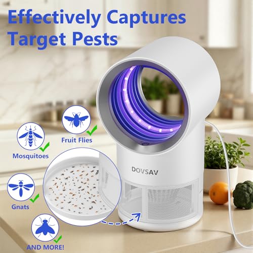 Fruit Fly Traps for Indoors, White Gnat Trap Indoor with Suction & Timer - color: White