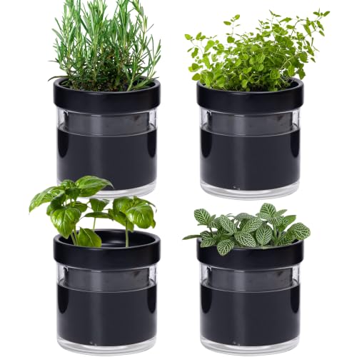 Phoenix Vine 4 Inch Self Watering Planter Pot, Black Terracotta Clay Pot with Glass Reservoir for Indoor Plants, Herbs, Flowers, Set of 4, 52-C-E-4 - color: Black, size: 4" (4 Pack)