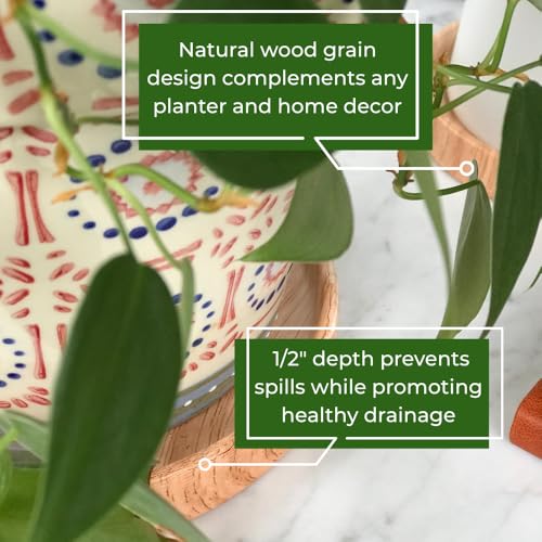 Ceramic Plant Saucer | Plant Trays for Indoors | Drip Tray | Plant Pot Saucers (4.5in + 5.75in, Wooden Grain) - color: Wooden Grain, size: 4in + 6in