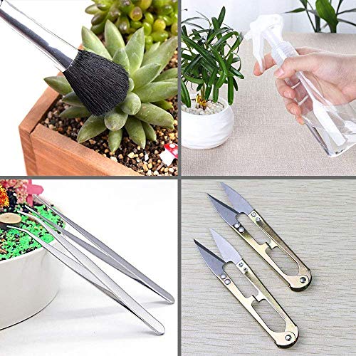 SONGZIMING 15 Pcs Succulent Plant Tools Set