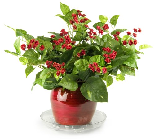Plastec SS016 Super Saucer for Planters, 16-Inch (P56 SS016) - size: 16