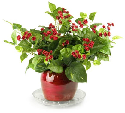 Plastec SS012 Super Saucer for Planters, 12-Inch - size: 12