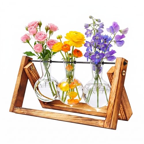 Toyvian Hydroponic Vase with Wooden Holder Clear Borosilicate Glass Plant Container Ornaments 3 Bulbs Flower Pot for Hydroponics Plants Desktop Flower Bottle for Home Office Decor - color: Brown